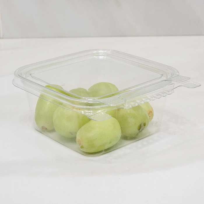 Plastic Tubs, Clear Polypro Tamper Resistant Tubs (Bulk), Caps NOT Included