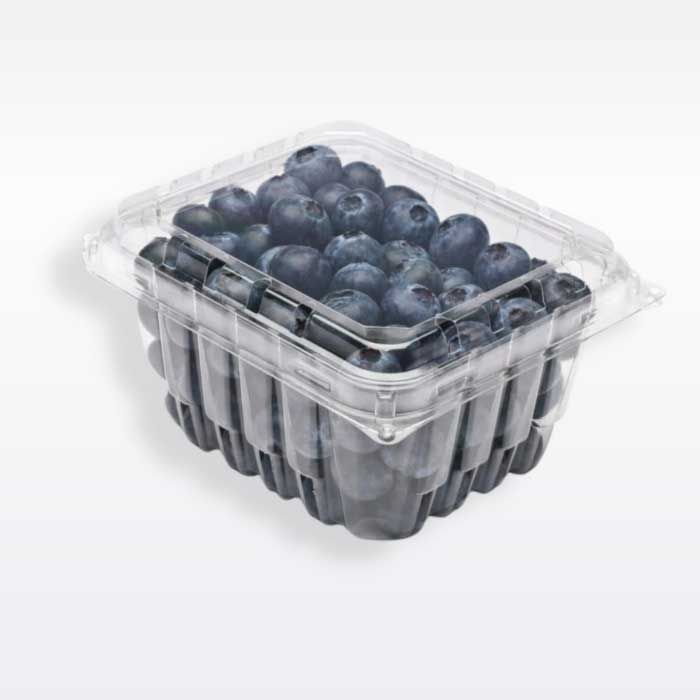 1 Pint Vented Hinged Plastic Grape, Tomato containers - 480/Case