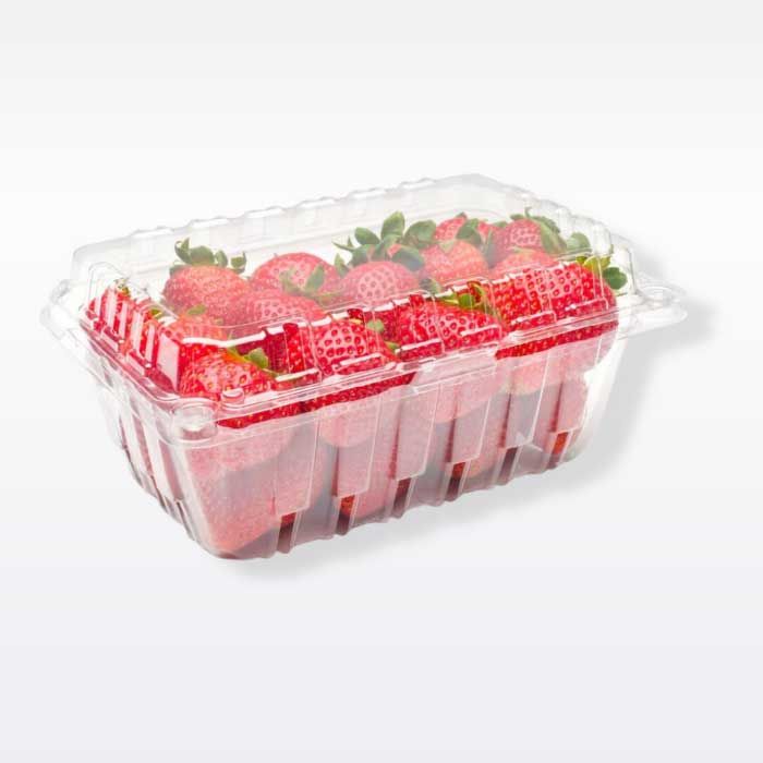 1LB Vented Hinged Plastic Grape, Tomato containers - 500/Case