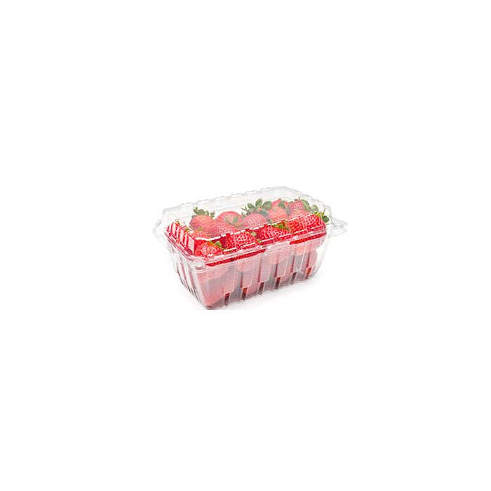 1LB Vented Hinged Plastic Grape, Tomato containers - 500/Case