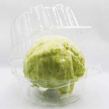 Hydroponic Lettuce Clear Plastic Container - 400/case
