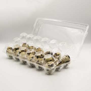 18 Coturnix Quail Egg Trifold Carton Container - 25/Pack
