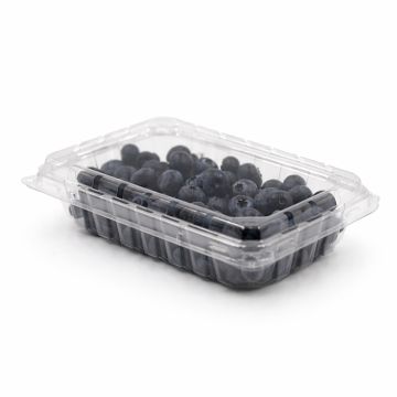 Flat 11 0z Berry Container Vented - 400/Case