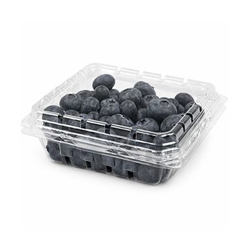 6 oz Produce Container Vented - 400/case