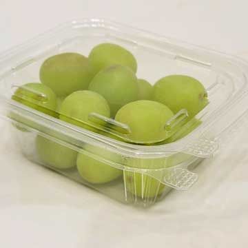 8 oz Tamper Evident Clear Hinged Plastic Container -240 / Case