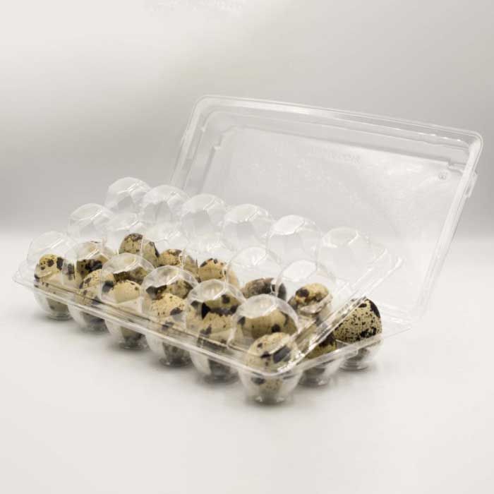 18 Coturnix Quail Egg Trifold Carton Container - 25/Pack, TUG-QEGG18-Bag25