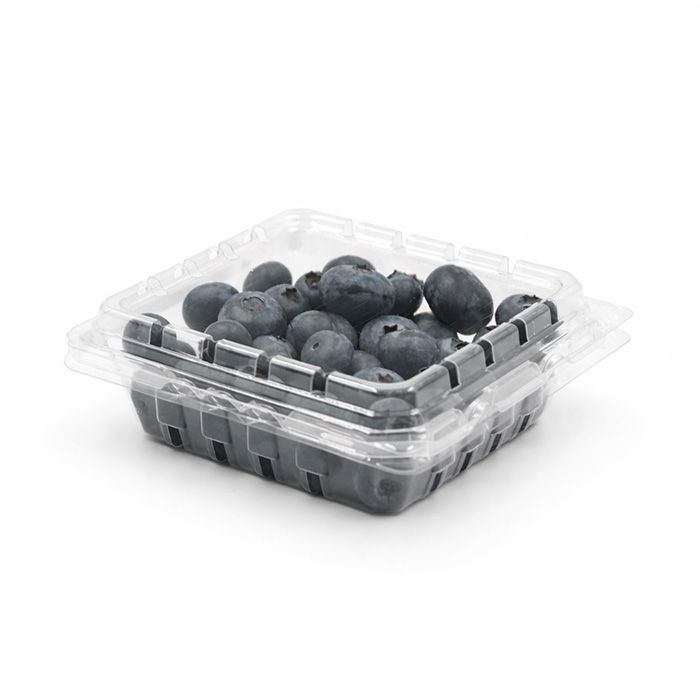 6 oz Produce Container Vented - 400/case, Z-PCC-CS-6OZ