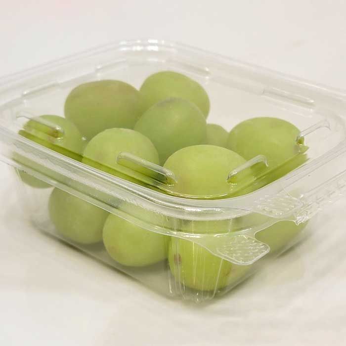 12 oz Tamper Evident Clear Hinged Plastic Container - 240/Case , Z-TUG-T12