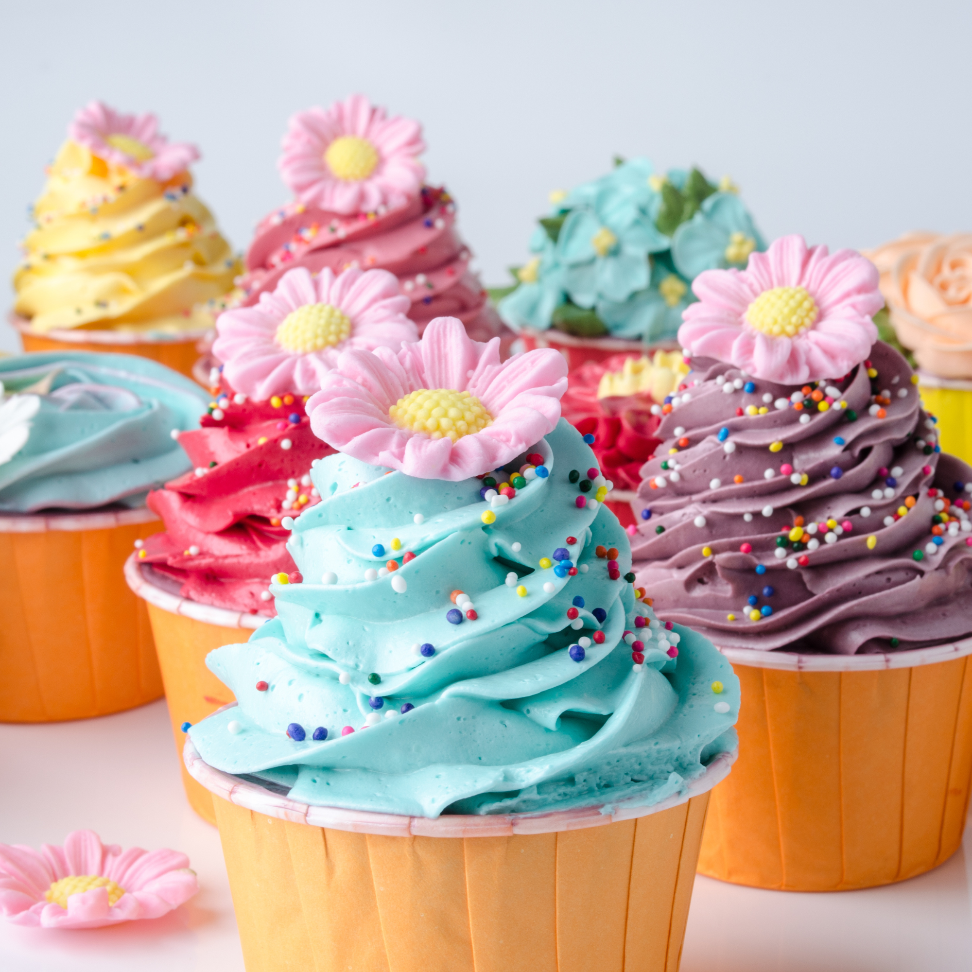 cupcakes with buttercream frosting