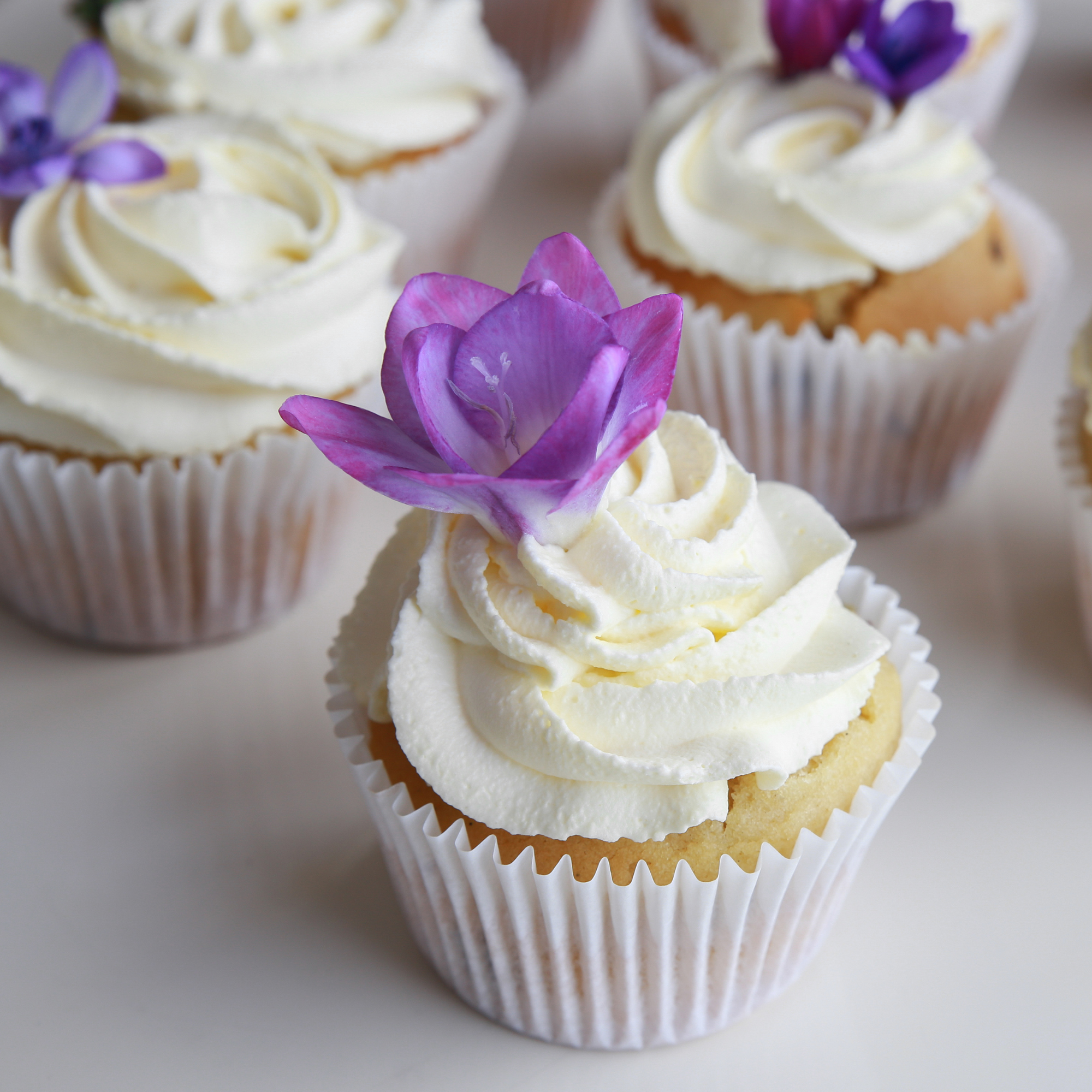 cuocakes with whipped cream