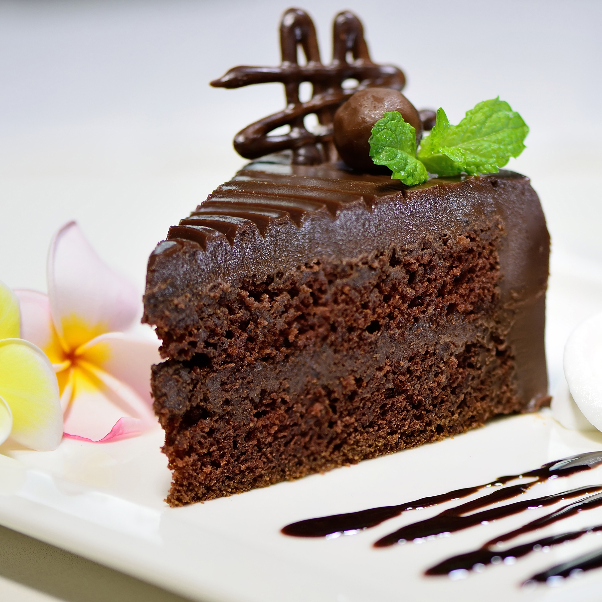 chocolate cake wih fudge frosting