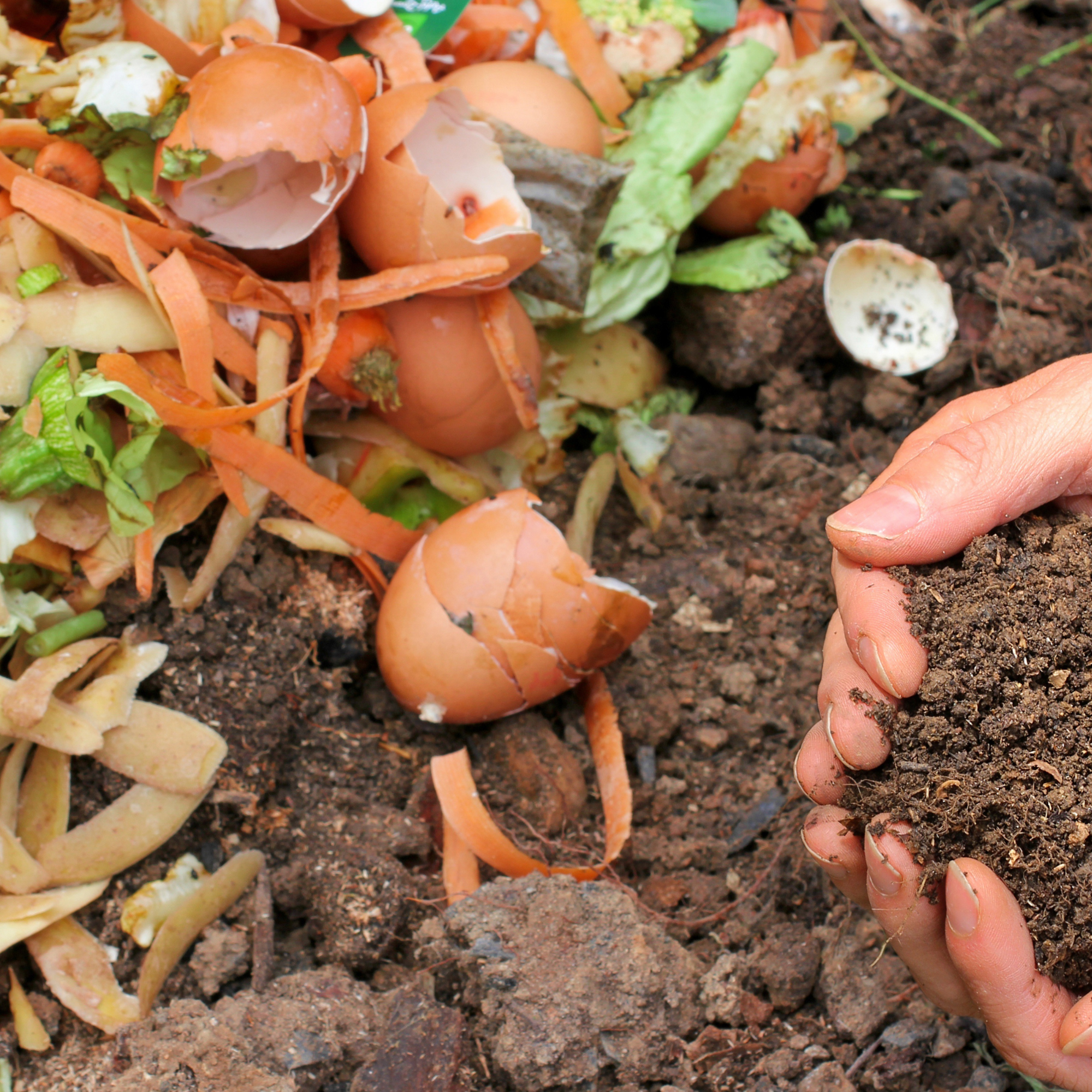 Composting